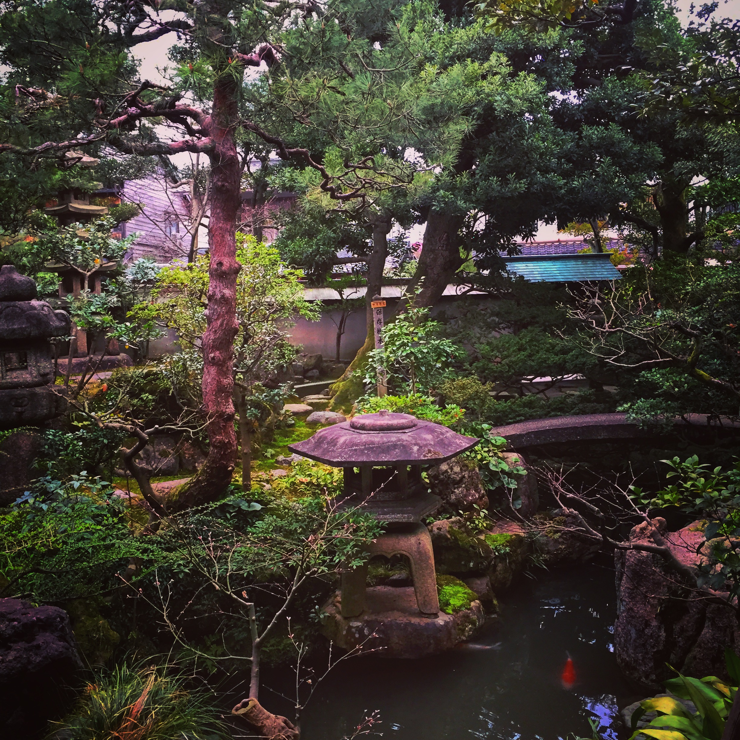 Nomura Samurai House Garden