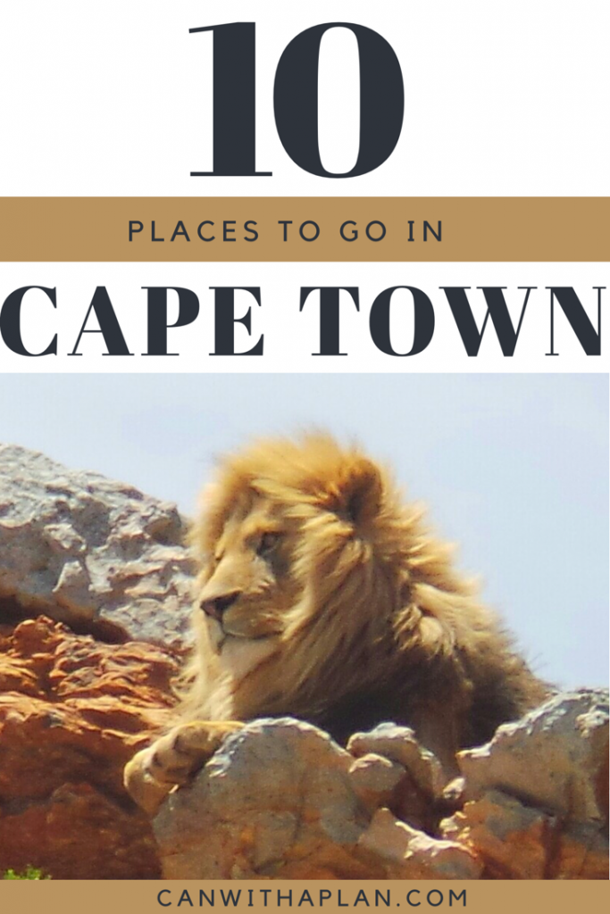 Ten Places to Go in Cape Town - Safari