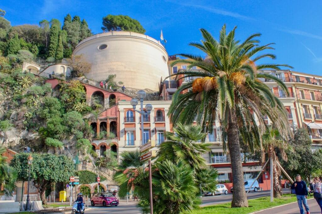 Palm Trees in Nice, France 